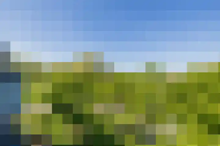 Faleriolaan 299 Hillegom thumbnail 20