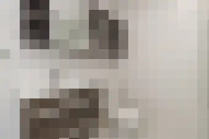 Faleriolaan 299 Hillegom thumbnail 23