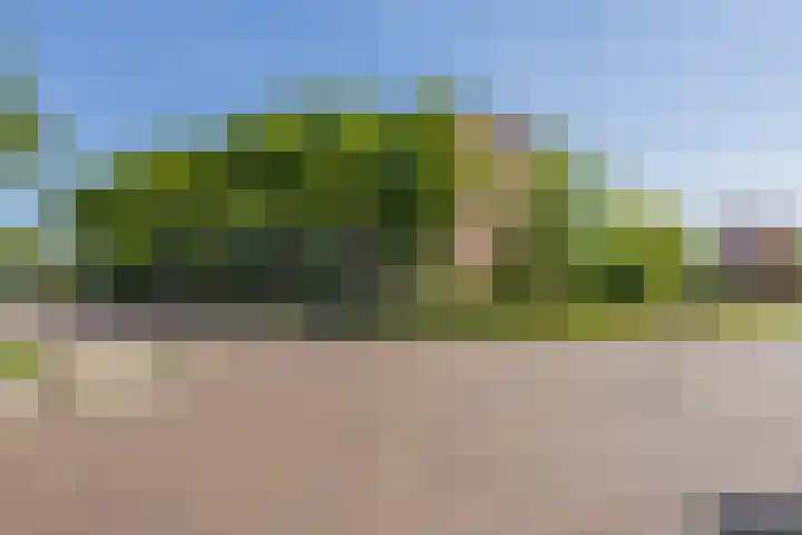 Faleriolaan 299 Hillegom thumbnail 29