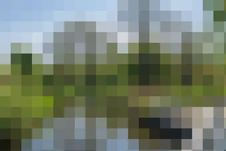 Faleriolaan 299 Hillegom thumbnail 30