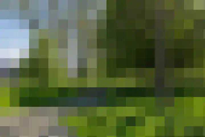 Faleriolaan 299 Hillegom thumbnail 31