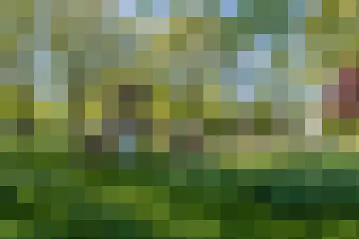 Faleriolaan 299 Hillegom thumbnail 32
