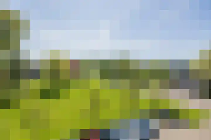 Faleriolaan 299 Hillegom thumbnail 4