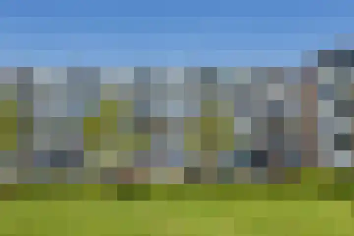 Faleriolaan 299 Hillegom thumbnail 5