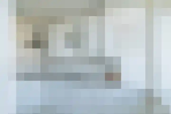Faleriolaan 301 Hillegom thumbnail 20