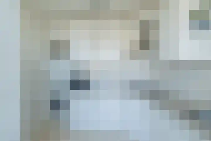 Faleriolaan 301 Hillegom thumbnail 21