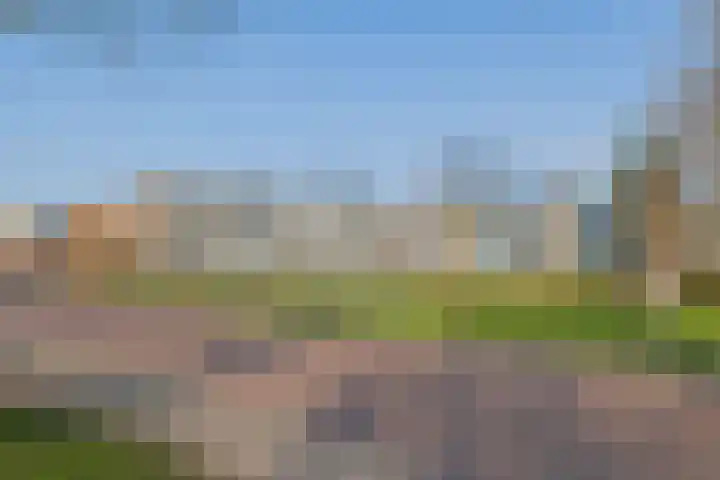 Faleriolaan 301 Hillegom thumbnail 36