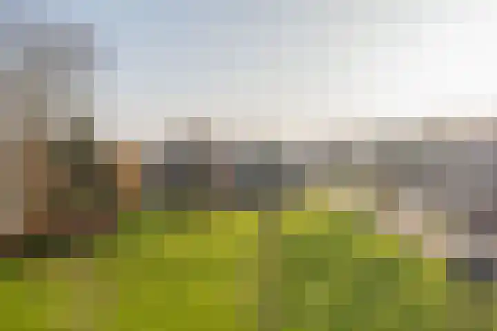 Faleriolaan 301 Hillegom thumbnail 42