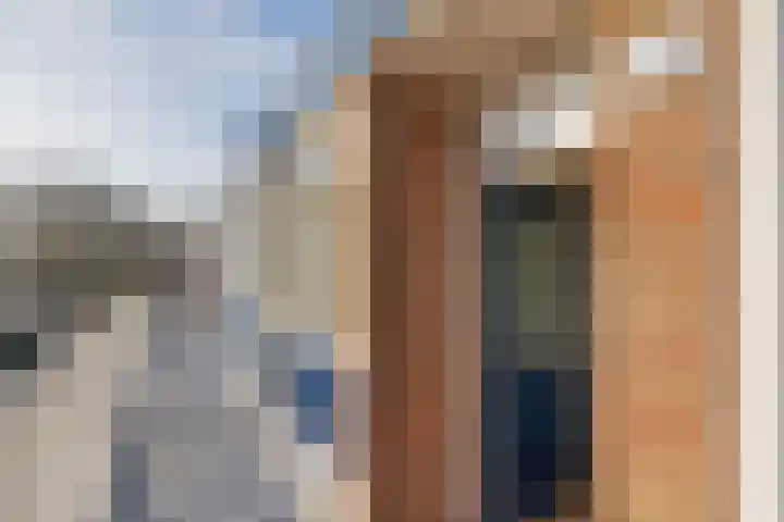 Faleriolaan 301 Hillegom thumbnail 6