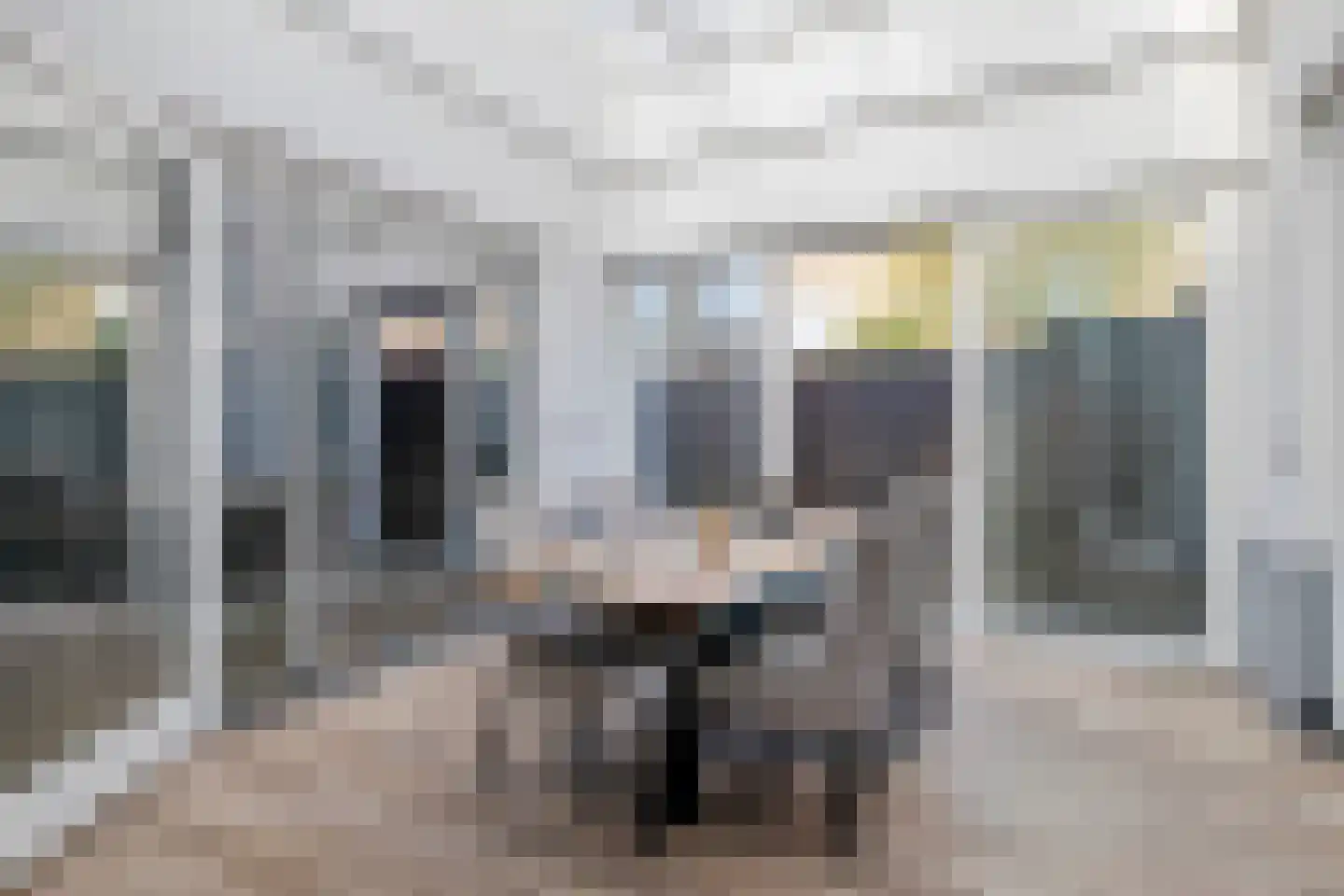 Falernogaard 1 Spijkenisse thumbnail 14