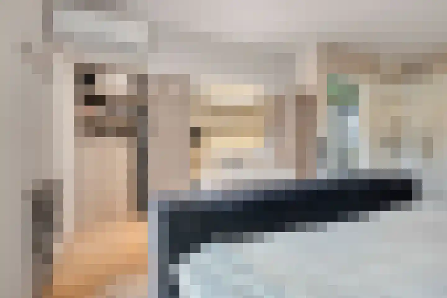 Falernogaard 1 Spijkenisse thumbnail 23