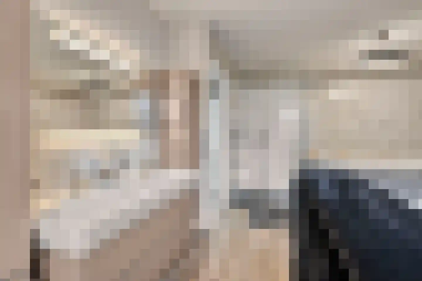 Falernogaard 1 Spijkenisse thumbnail 26
