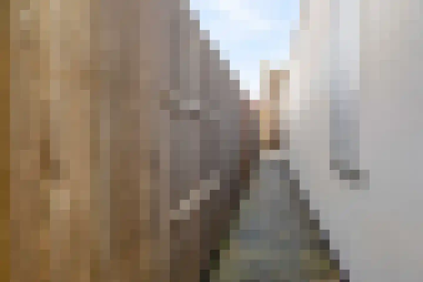 Falernogaard 1 Spijkenisse thumbnail 33