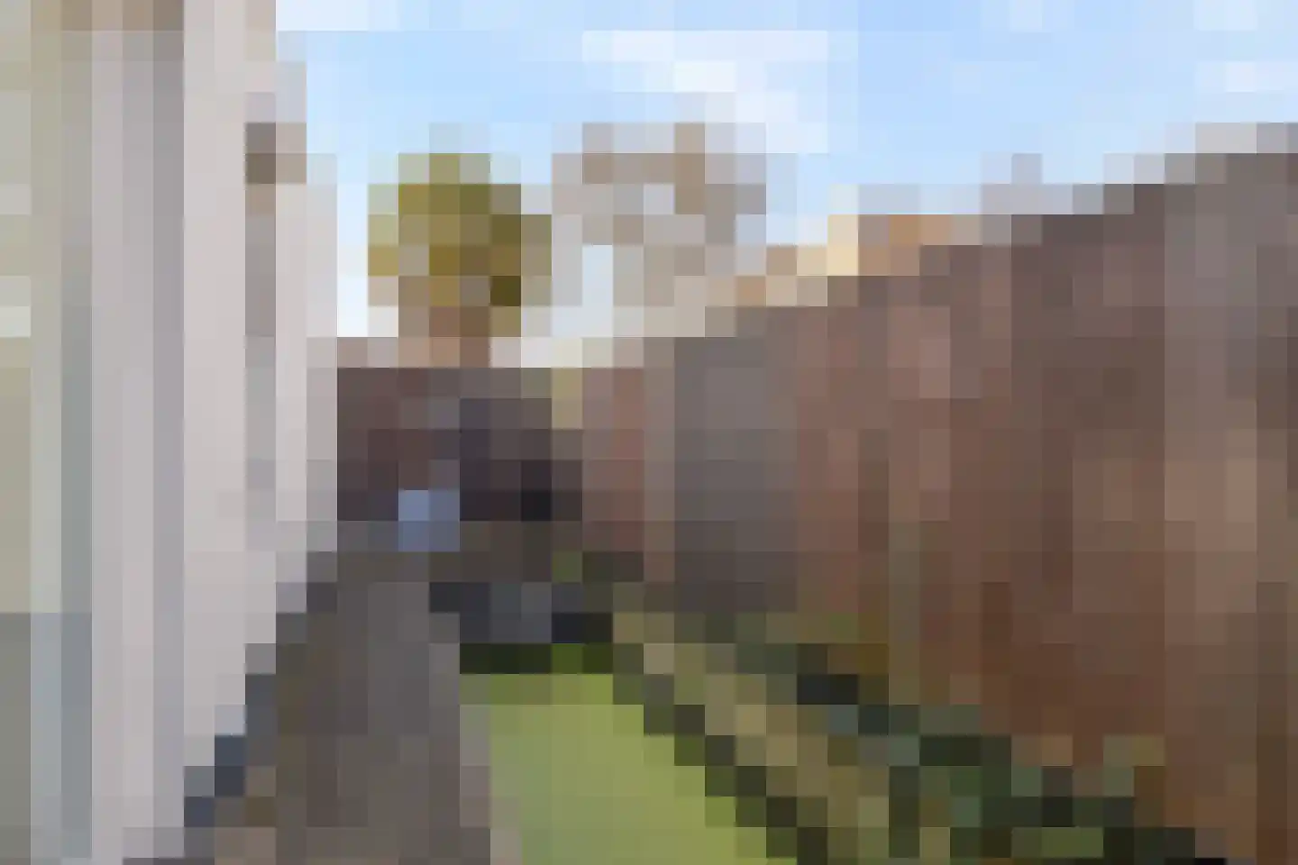Falernogaard 1 Spijkenisse thumbnail 35