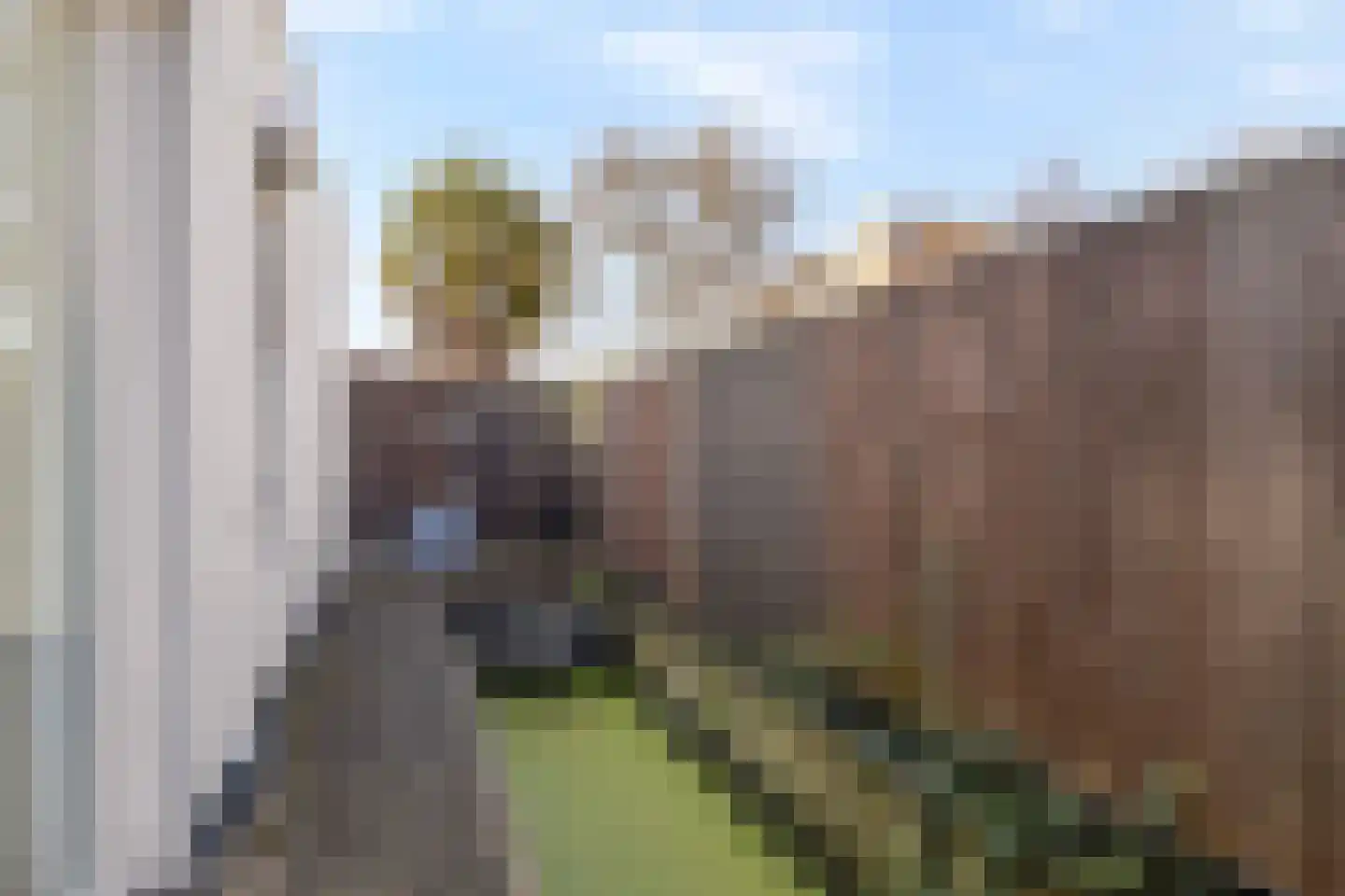 Falernogaard 1 Spijkenisse thumbnail 35