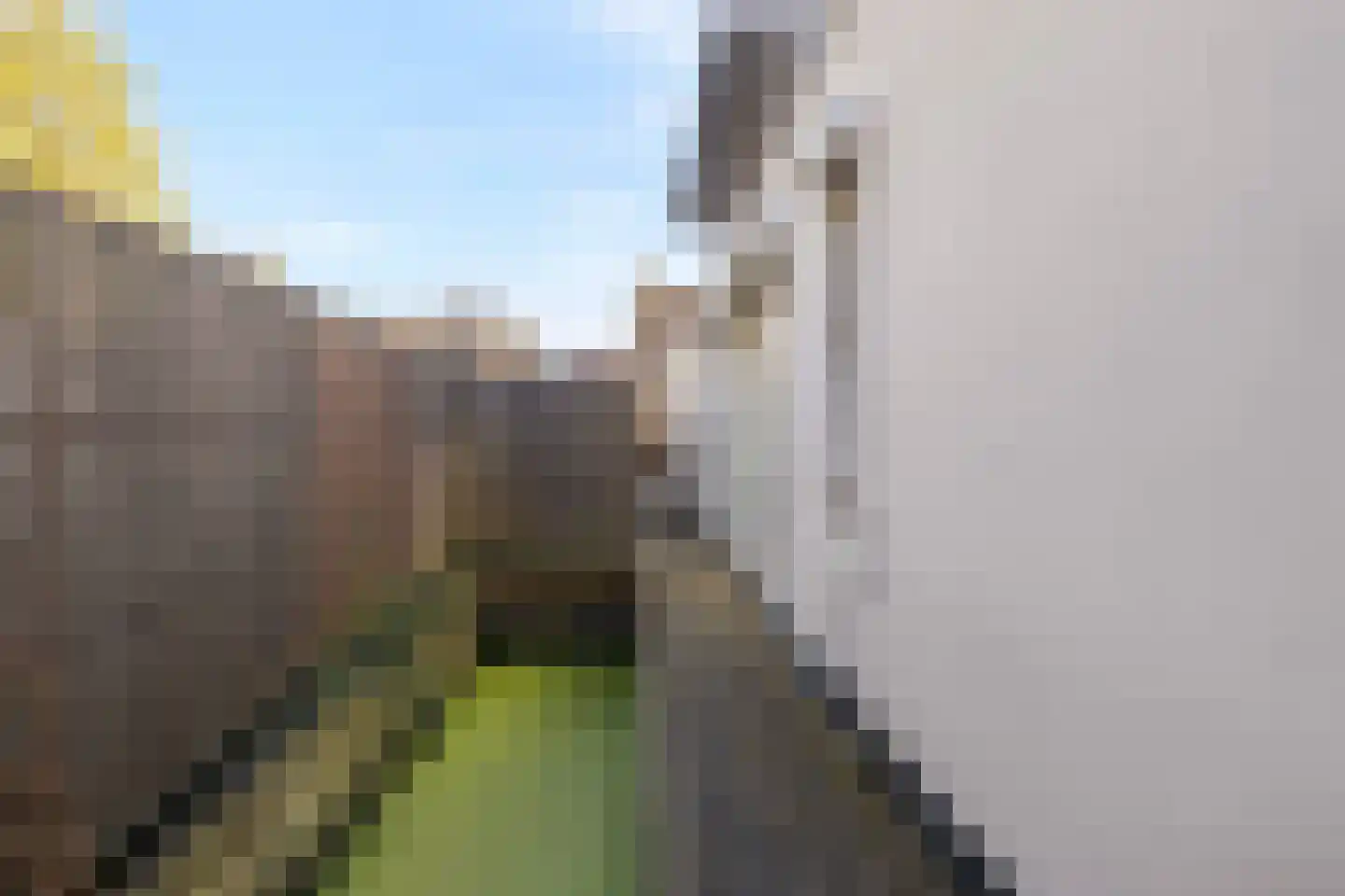 Falernogaard 1 Spijkenisse thumbnail 36