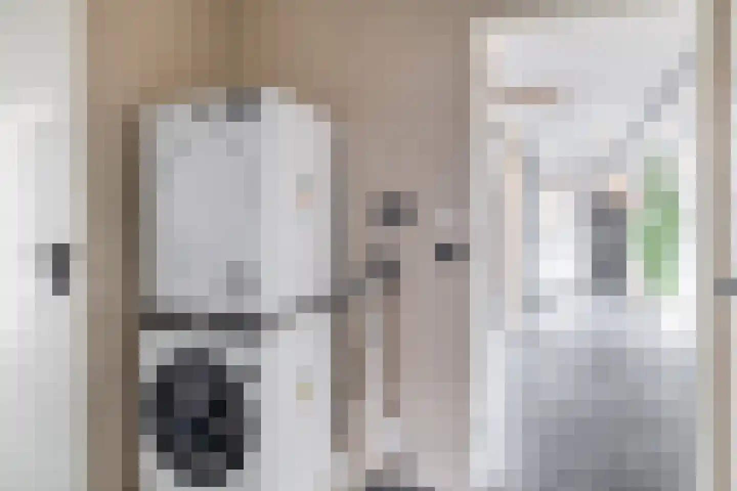 Falernogaard 3 Spijkenisse thumbnail 32