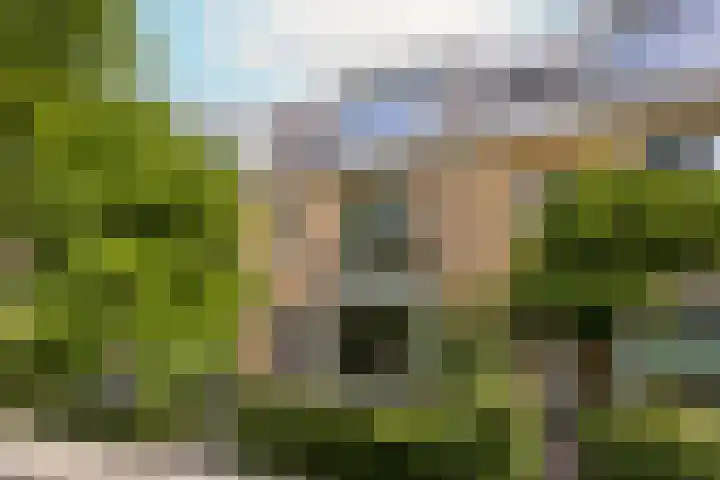 Faljerilstraat 13 in Leiden