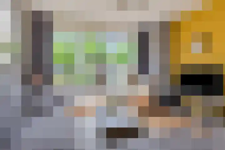 Falkejacht 19 Hurdegaryp thumbnail 13