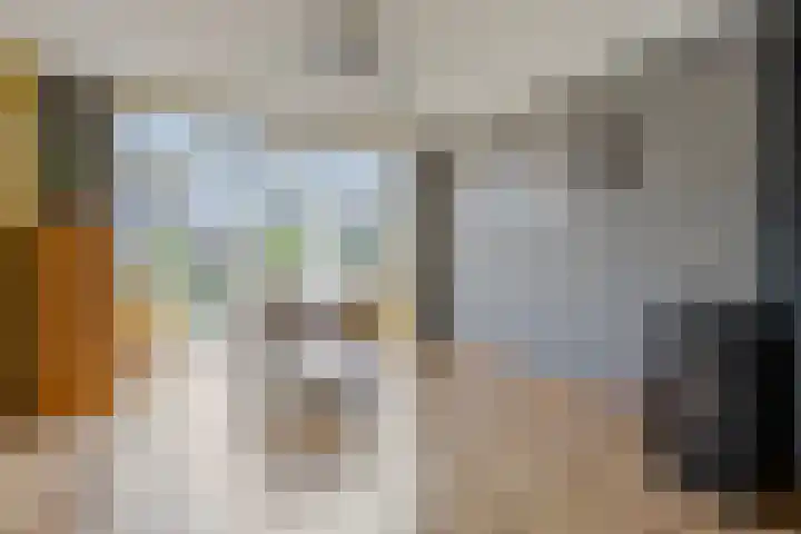 Falkejacht 19 Hurdegaryp thumbnail 16