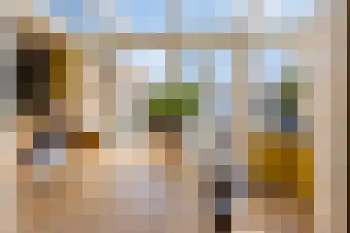 Falkejacht 19 Hurdegaryp thumbnail 18