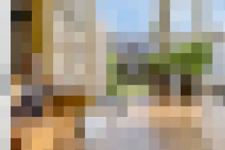 Falkejacht 19 Hurdegaryp thumbnail 19
