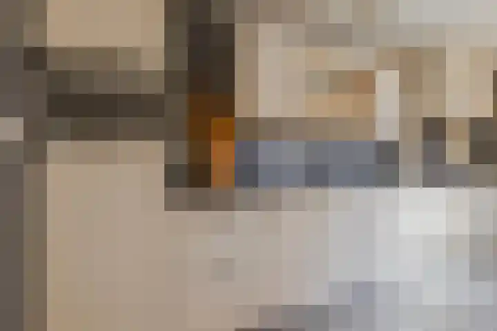 Falkejacht 19 Hurdegaryp thumbnail 22