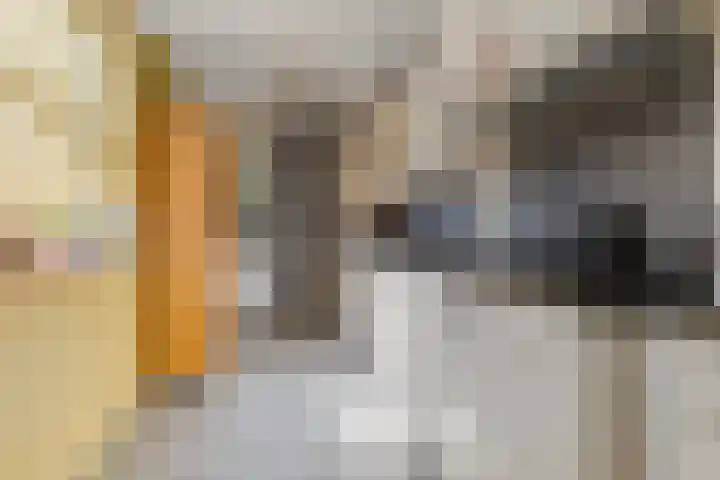 Falkejacht 19 Hurdegaryp thumbnail 23