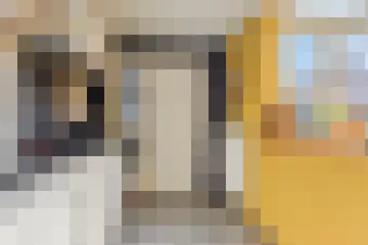 Falkejacht 19 Hurdegaryp thumbnail 25