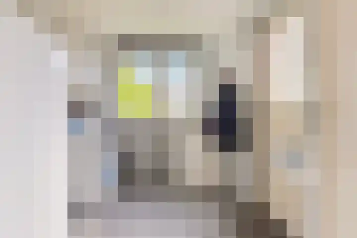 Falkejacht 19 Hurdegaryp thumbnail 27