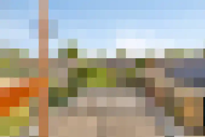 Falkejacht 19 Hurdegaryp thumbnail 36