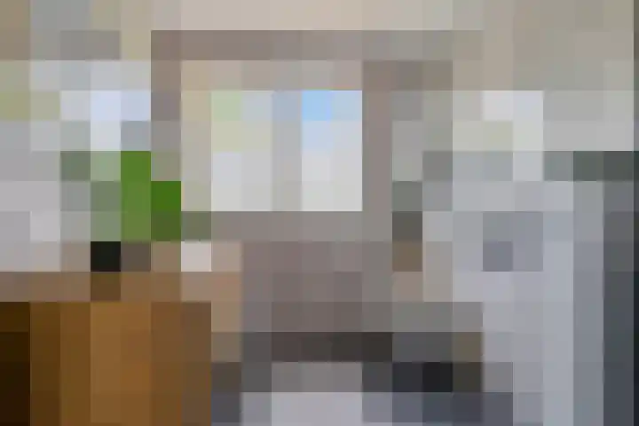 Falkejacht 19 Hurdegaryp thumbnail 37
