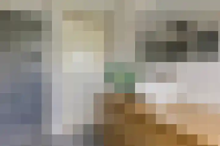 Falkejacht 19 Hurdegaryp thumbnail 39