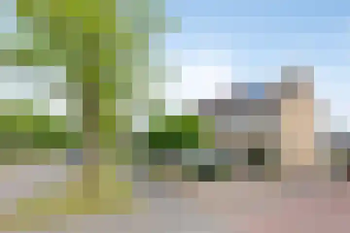 Falkejacht 19 Hurdegaryp thumbnail 4