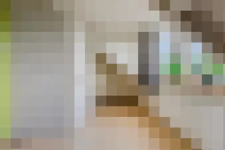 Falkejacht 19 Hurdegaryp thumbnail 41