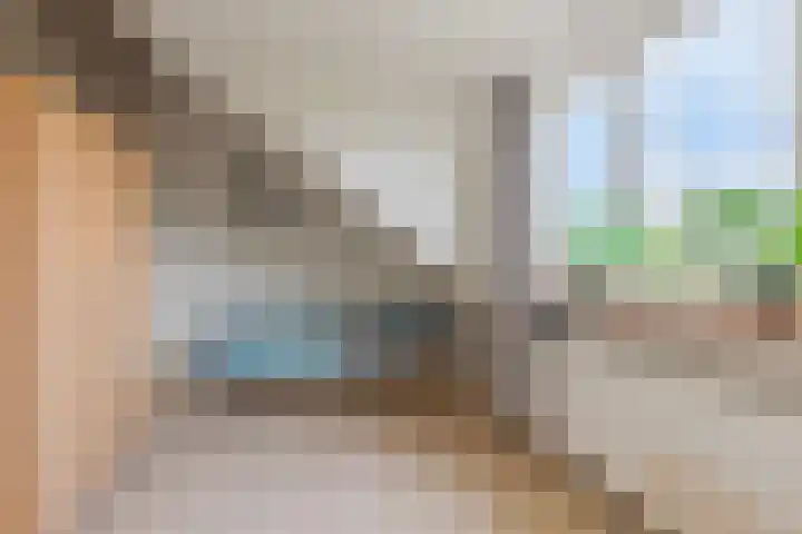 Falkejacht 19 Hurdegaryp thumbnail 42