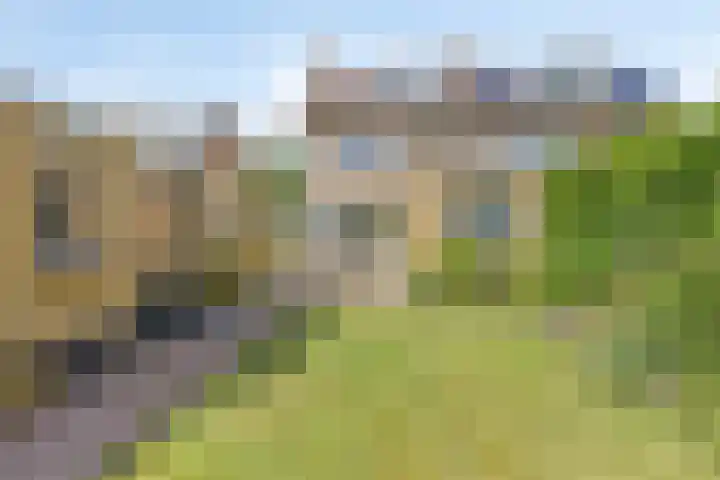 Falkejacht 19 Hurdegaryp thumbnail 5