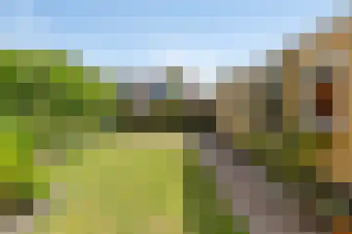 Falkejacht 19 Hurdegaryp thumbnail 6