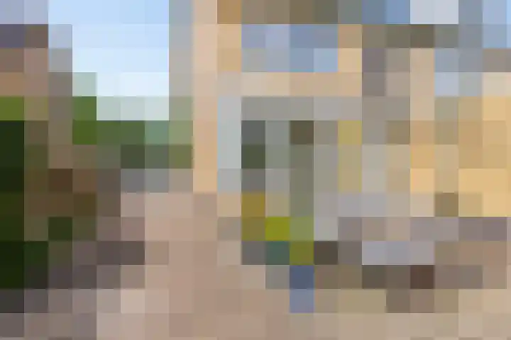 Falkejacht 19 Hurdegaryp thumbnail 7