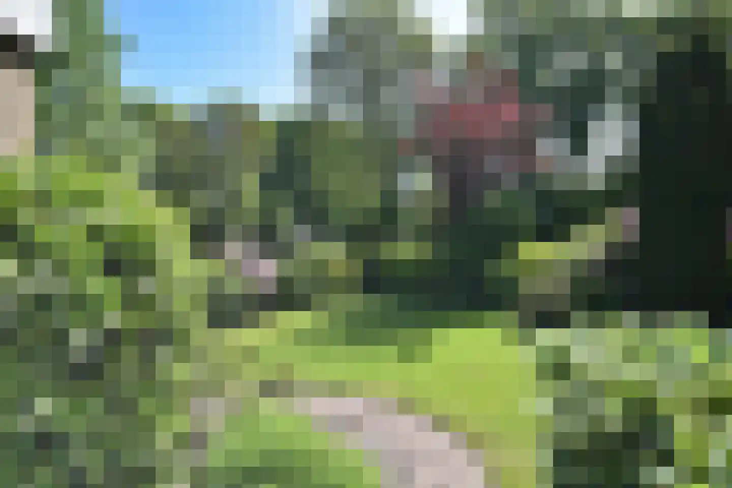 Falkejacht 2 Hurdegaryp thumbnail 10