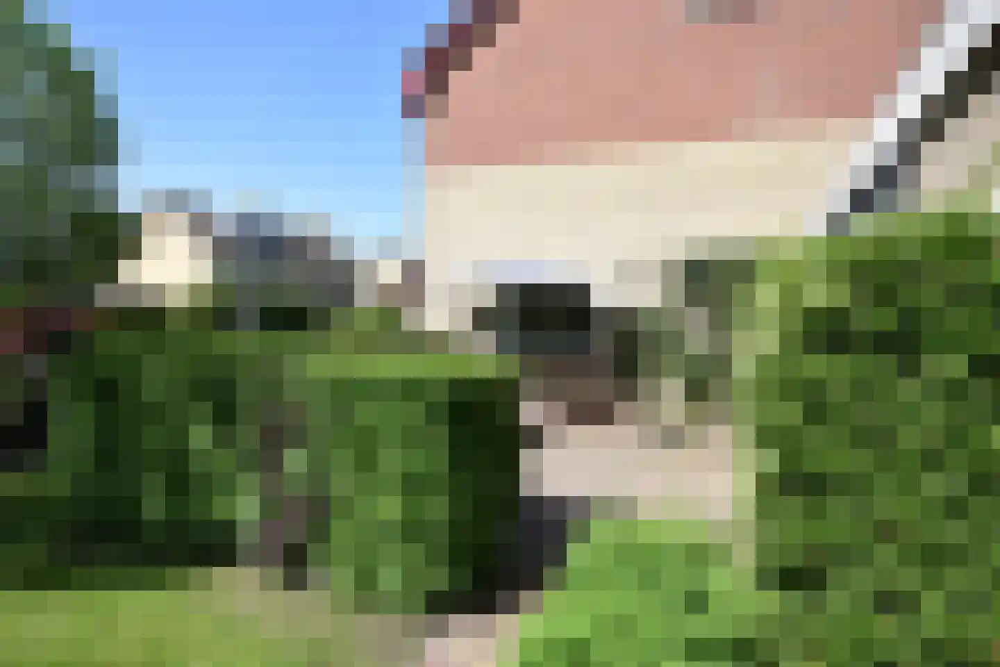 Falkejacht 2 Hurdegaryp thumbnail 11