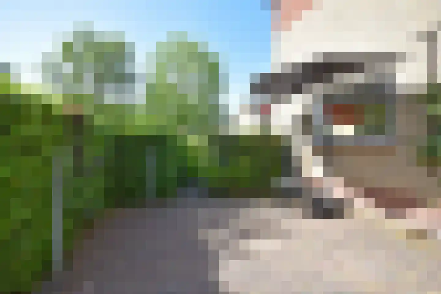 Falkejacht 2 Hurdegaryp thumbnail 12