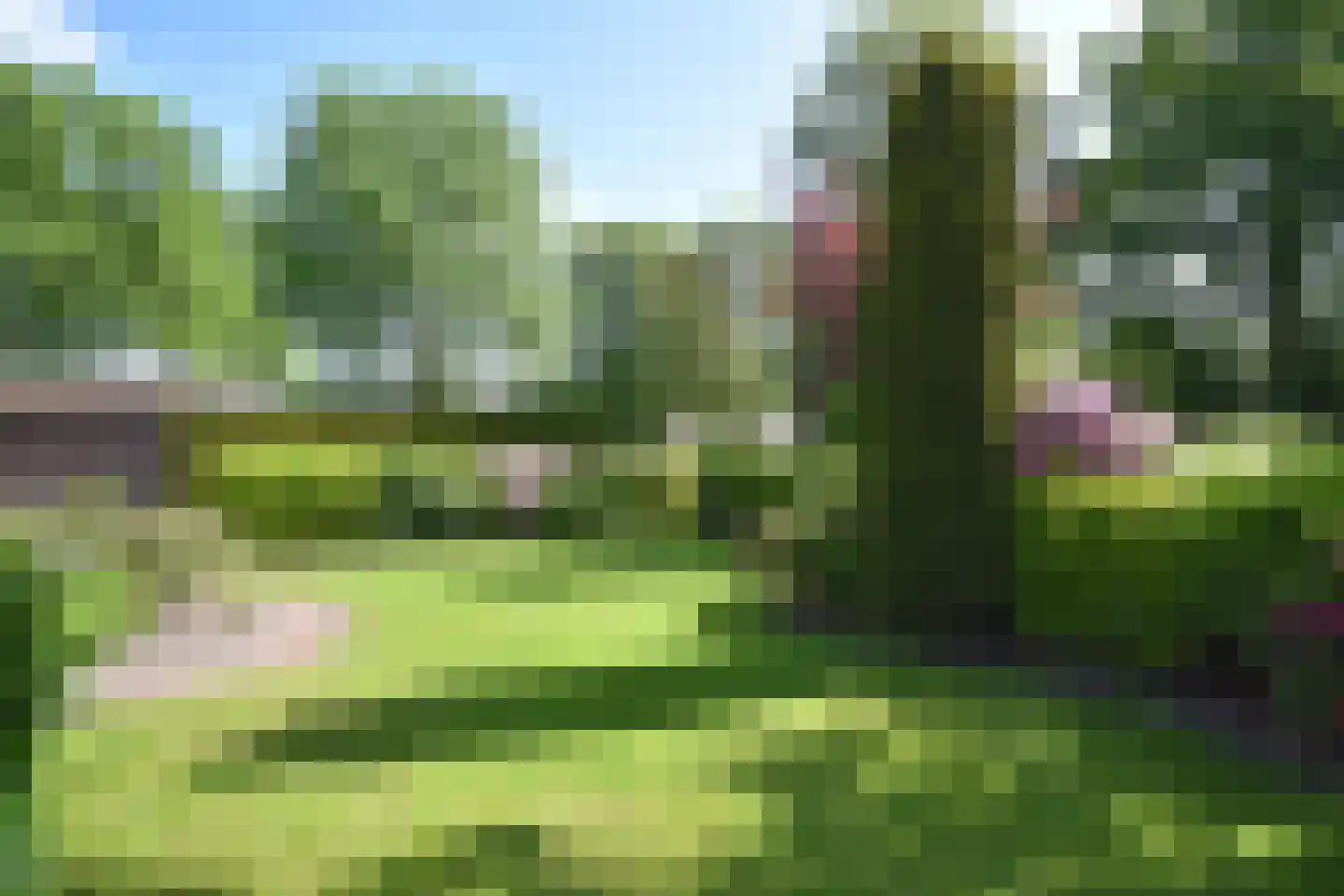 Falkejacht 2 Hurdegaryp thumbnail 15