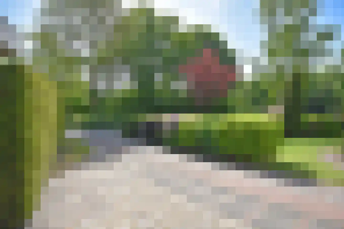 Falkejacht 2 Hurdegaryp thumbnail 18