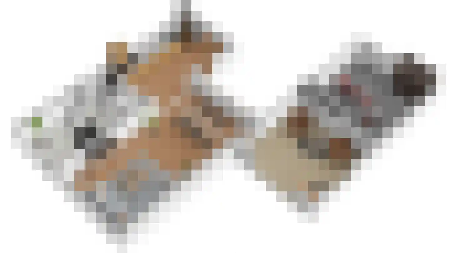 Falkejacht 2 Hurdegaryp thumbnail 23