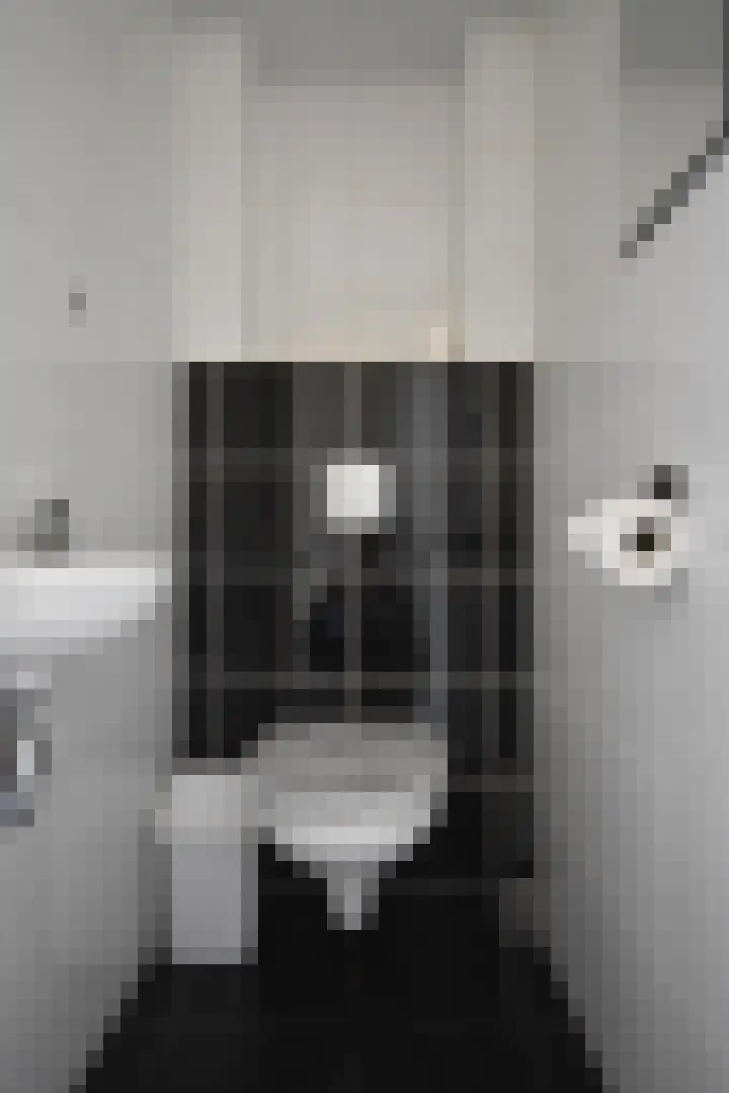 Falkejacht 2 Hurdegaryp thumbnail 25