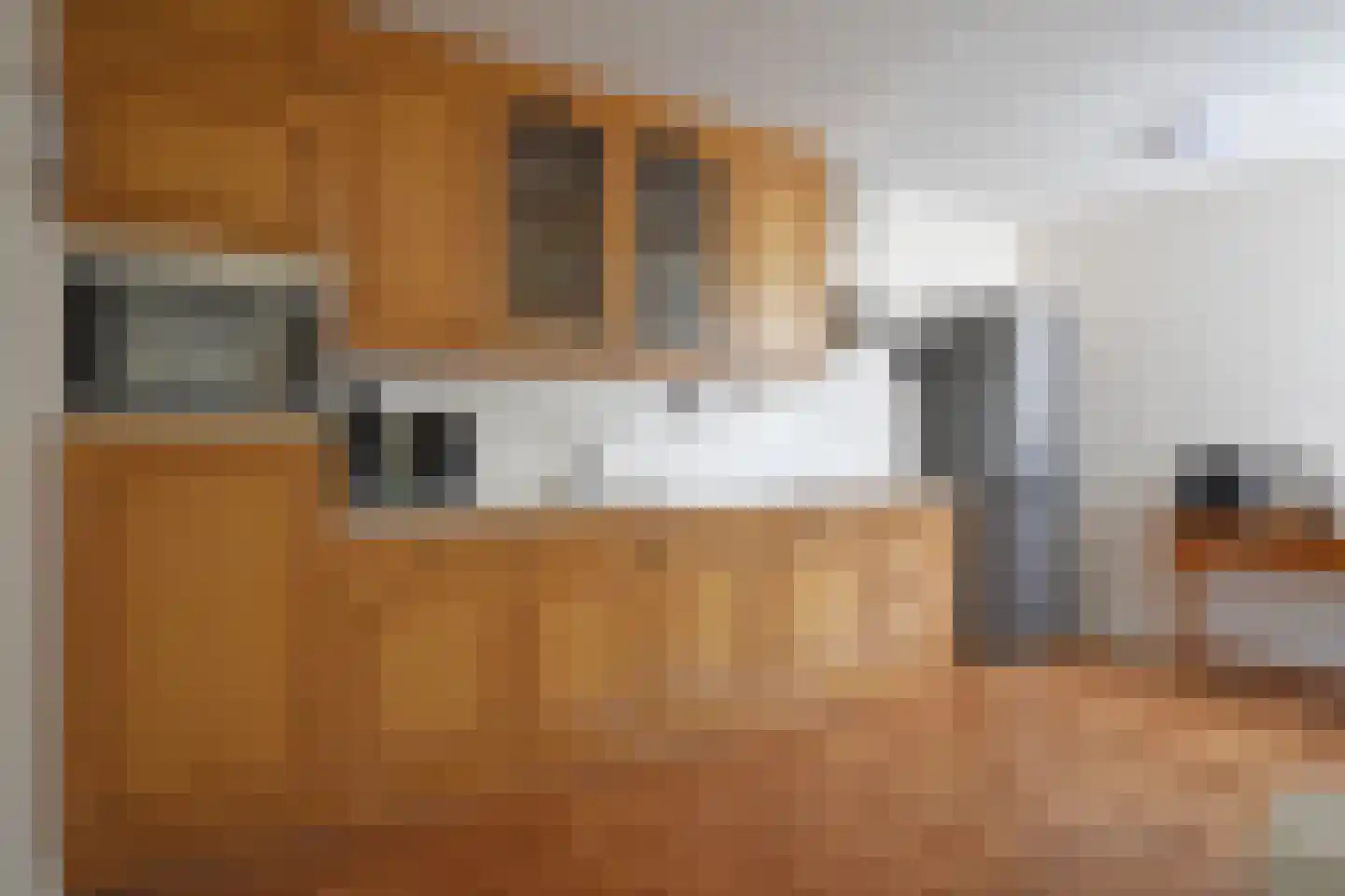 Falkejacht 2 Hurdegaryp thumbnail 28