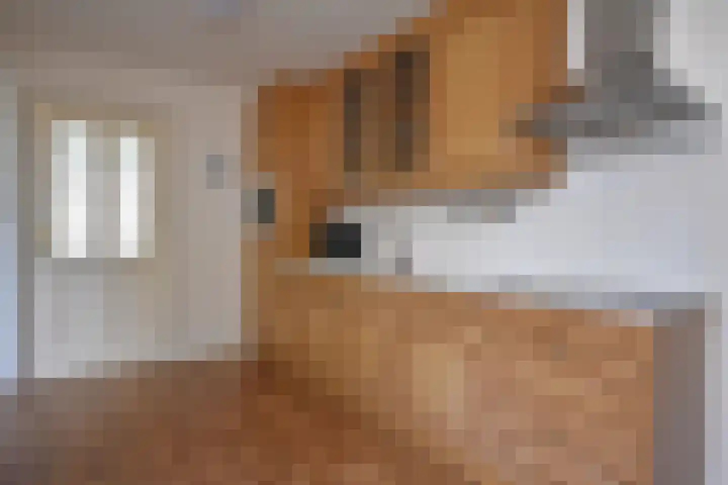 Falkejacht 2 Hurdegaryp thumbnail 30