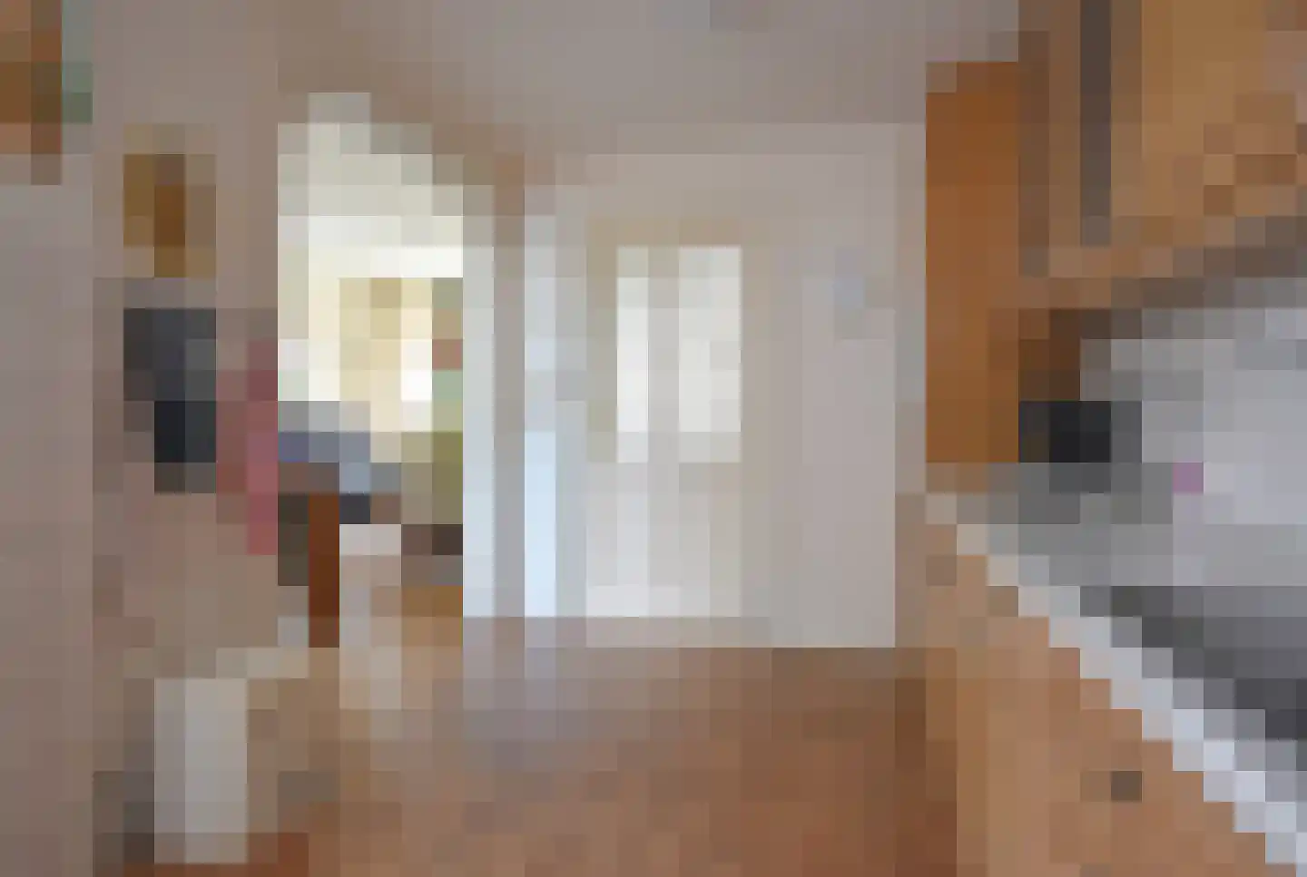 Falkejacht 2 Hurdegaryp thumbnail 31