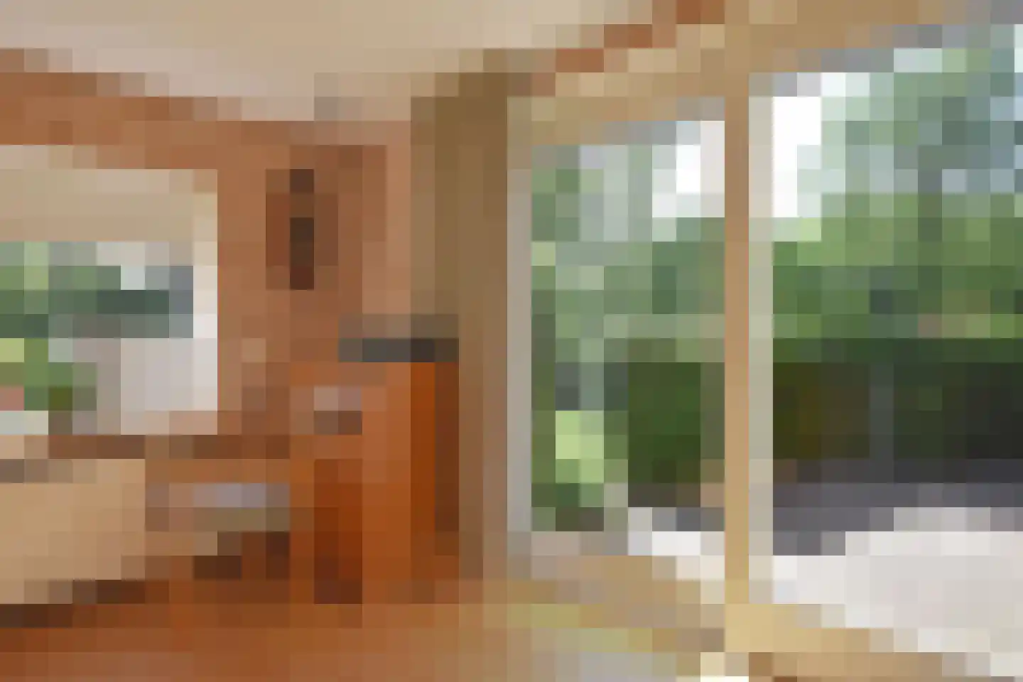 Falkejacht 2 Hurdegaryp thumbnail 39